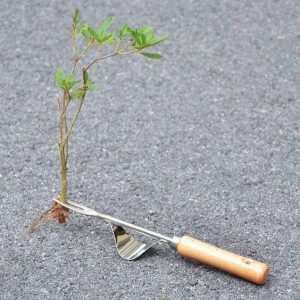 Hand weeder – Chwastownik ręczny 03